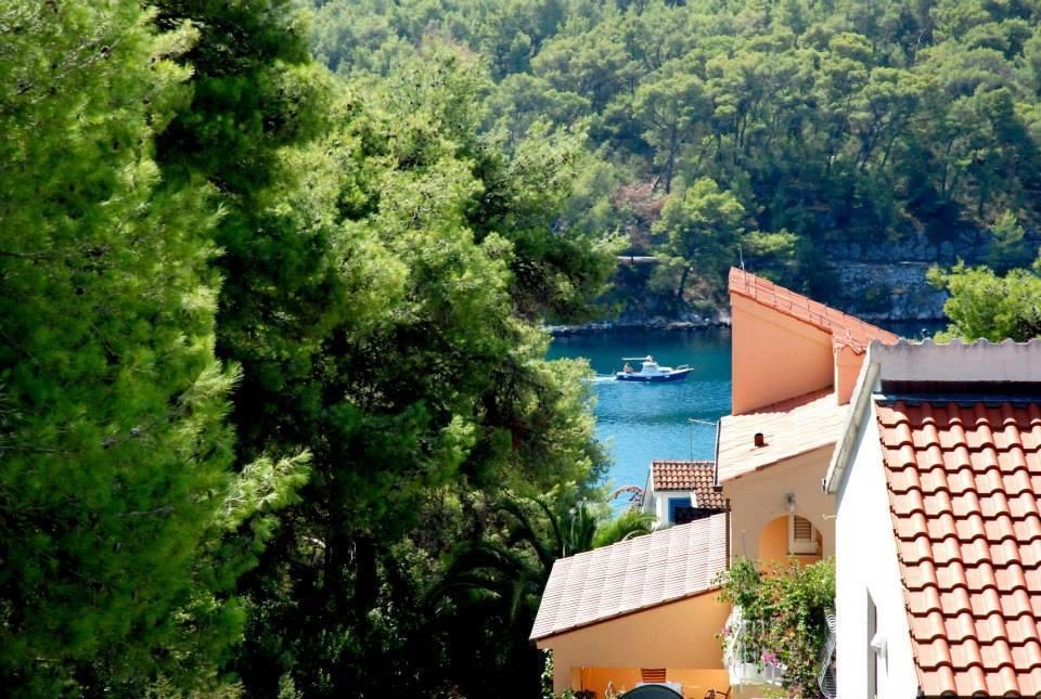Guest House Alek Vrboska Δωμάτιο φωτογραφία